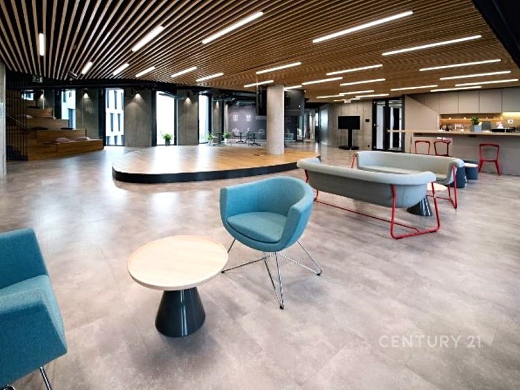 Pronájem komerčního prostoru, 518 m² (3 z 4)