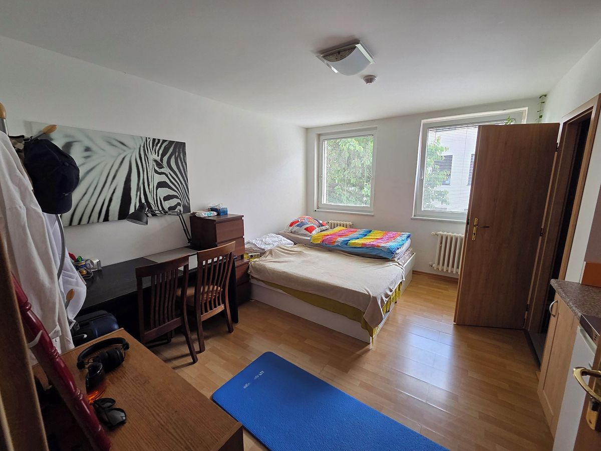Pronájem bytu 1+kk 28 m²