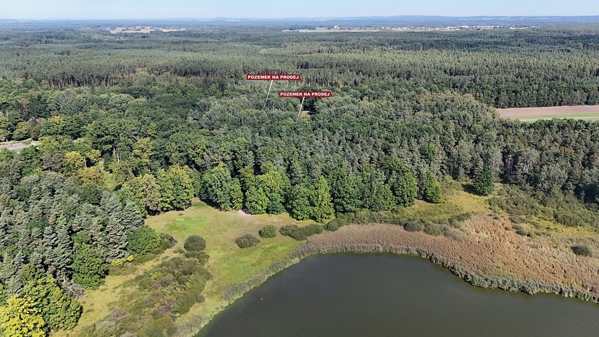 Prodej pole 12377 m² – fotografie 4