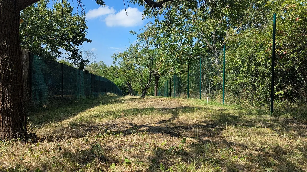 Prodej zahrady 319 m²