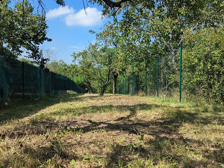 Grundstück zum Kauf, 319 m² (1 von 11)