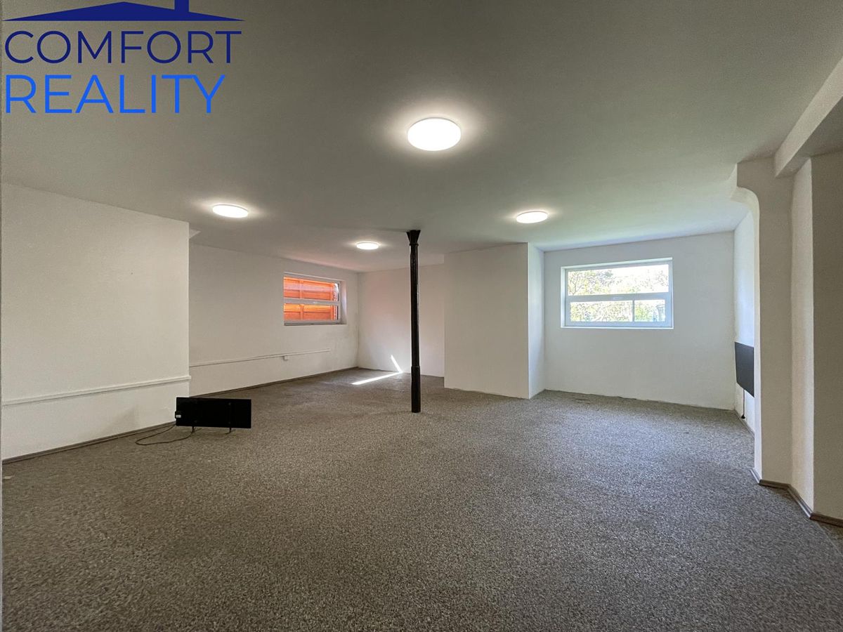 Pronájem obchodního prostoru 220 m² – fotografie 4