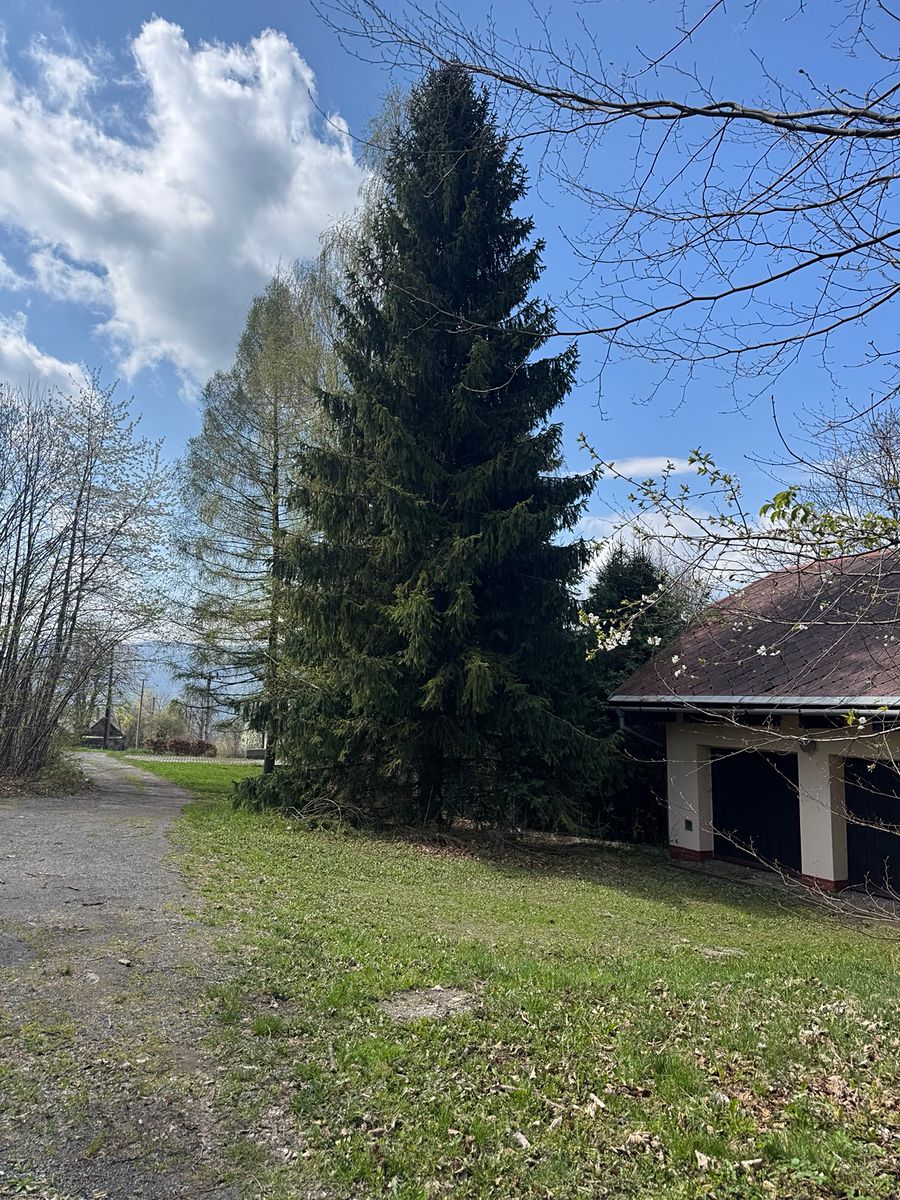 Prodej rodinného domu 196 m², pozemek 5697 m² – fotografie 2
