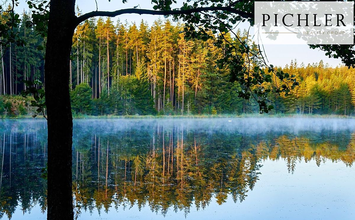 Prodej komerční nemovitosti 12000 m² – fotografie 5