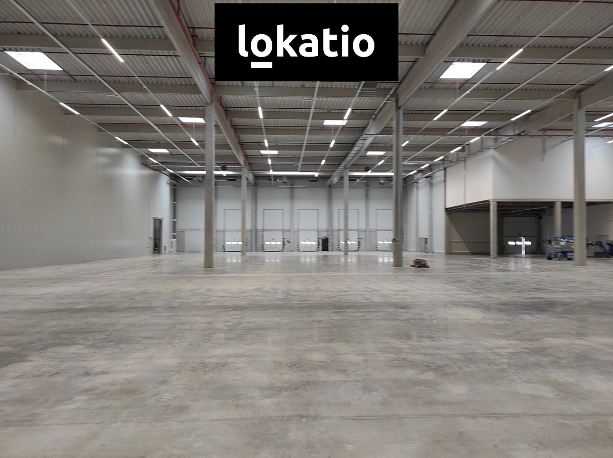 Pronájem skladového prostoru 3858 m² – fotografie 3