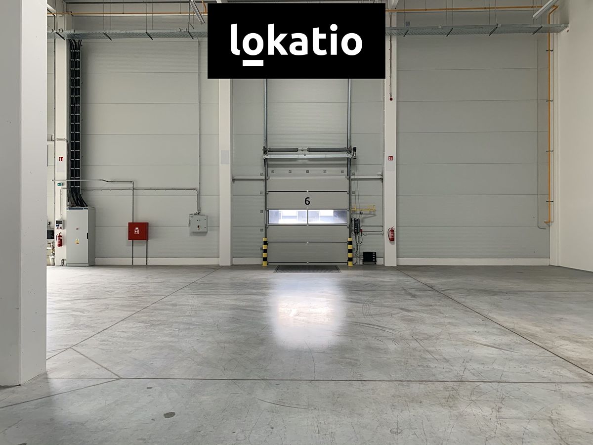 Pronájem skladového prostoru 4766 m² – fotografie 5
