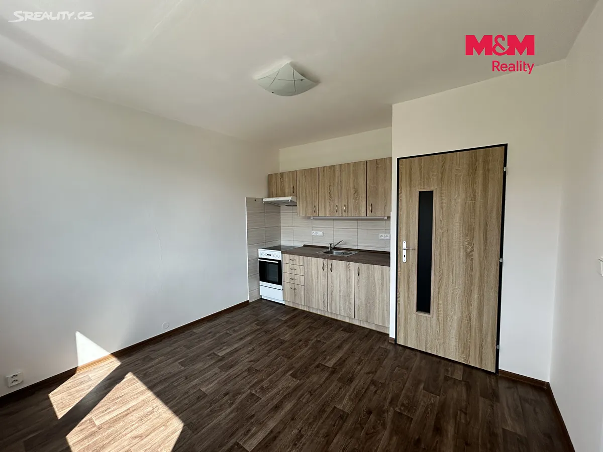 Pronájem bytu 1+1 35 m² – další