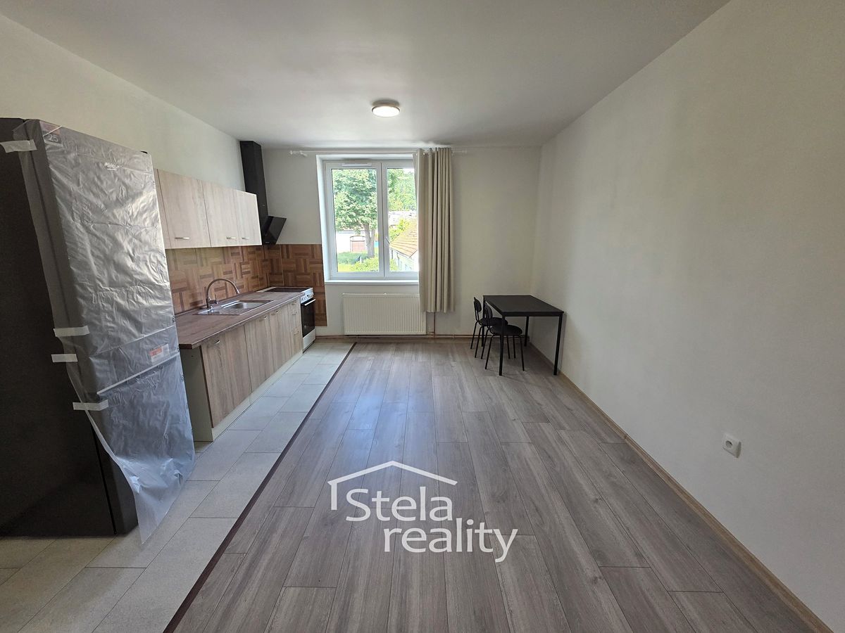 Pronájem bytu 1+kk 45 m² – fotografie 5