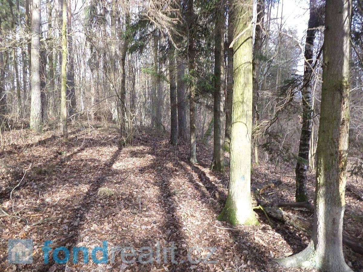 Prodej pozemku 15643 m² – fotografie 3