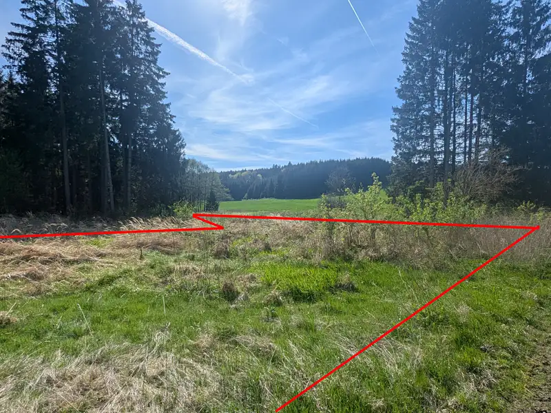 Prodej zahrady 1579 m², Kdyně – náhled fotky 3