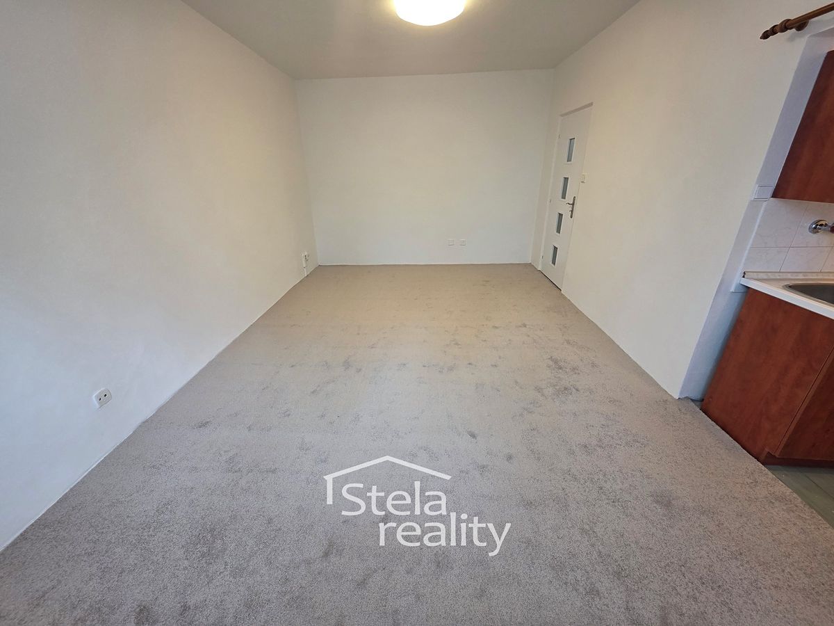 Pronájem bytu 1+kk 29 m² – fotografie 3