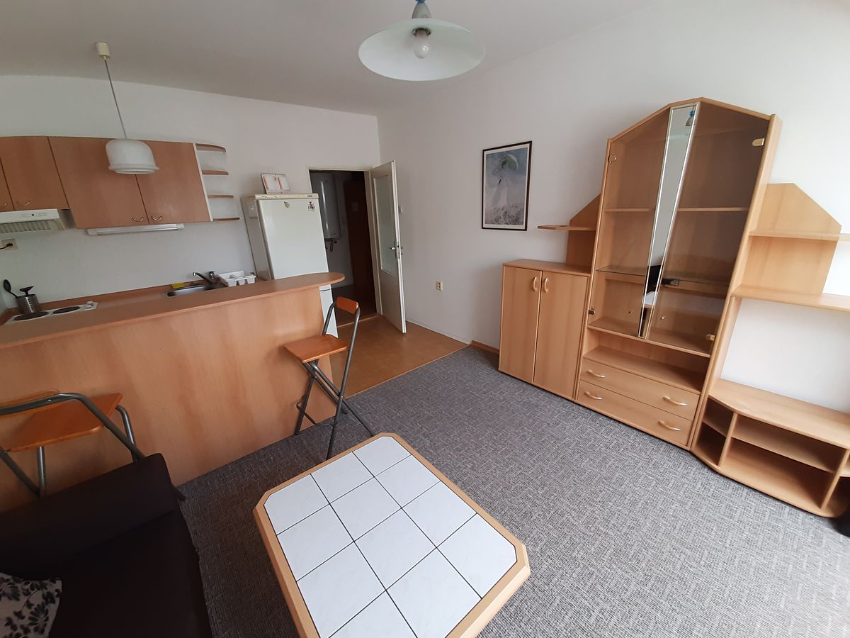 Pronájem bytu 1+kk 35 m² – fotografie 4