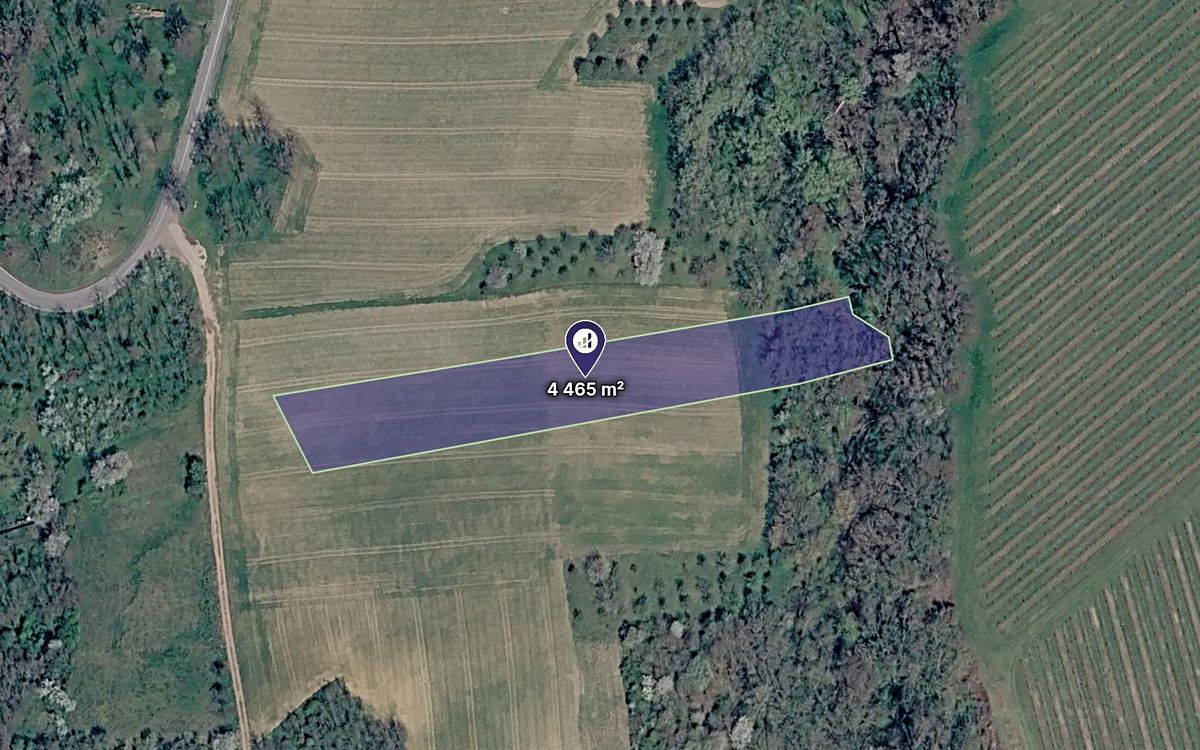 Prodej pole 4465 m²
