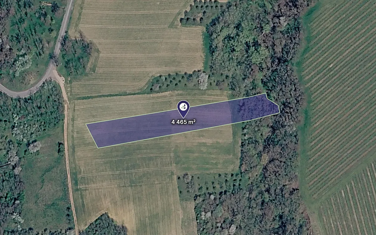 Prodej pole 4465 m²
