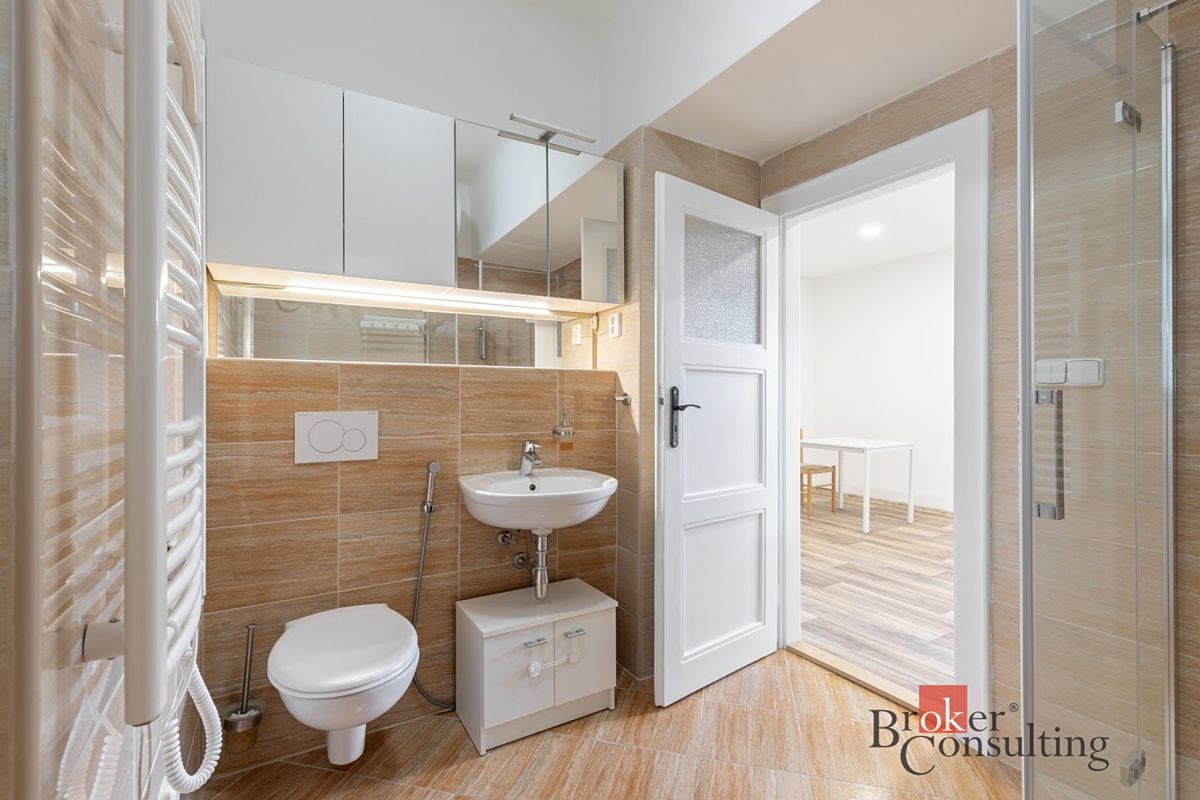 Pronájem bytu 2+kk 43 m² – fotografie 3