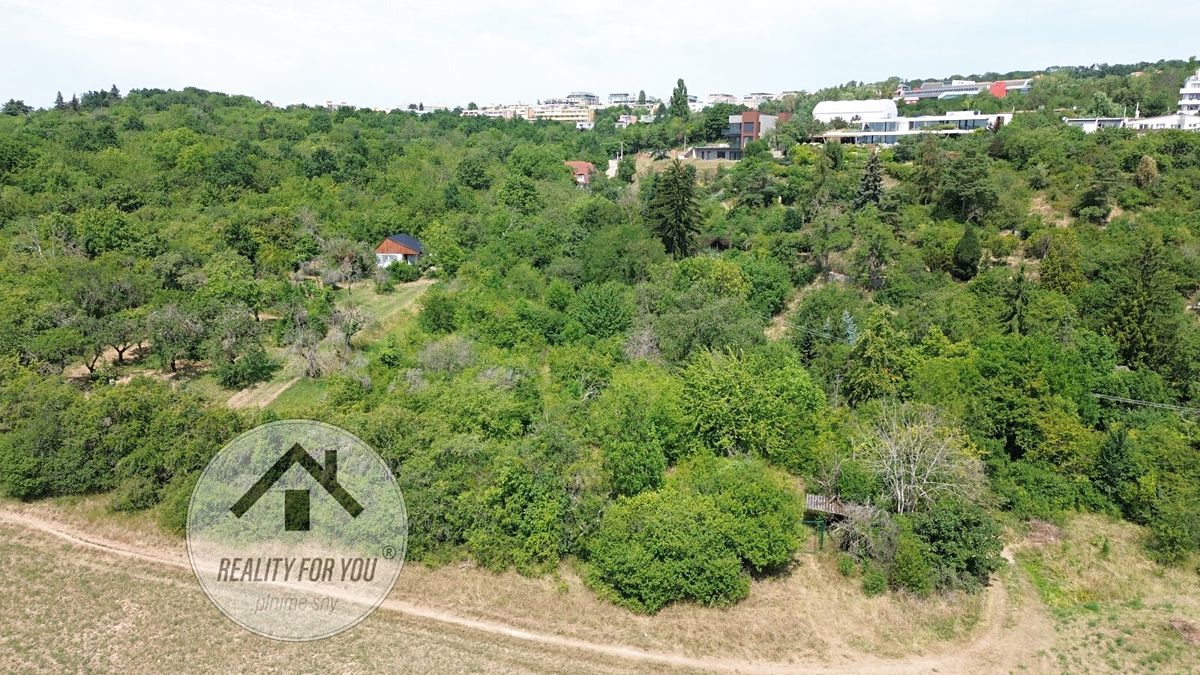 Pronájem zahrady 1200 m² – fotografie 4