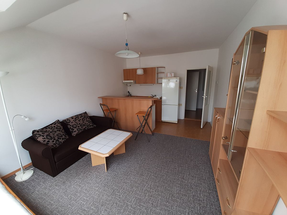 Pronájem bytu 1+kk 35 m² – fotografie 3