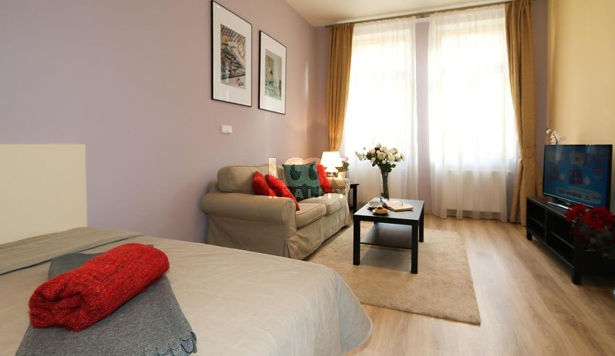 Pronájem bytu 1+1 40 m²