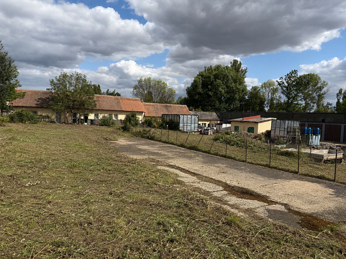 Pronájem komerčního pozemku 1500 m² – fotografie 3