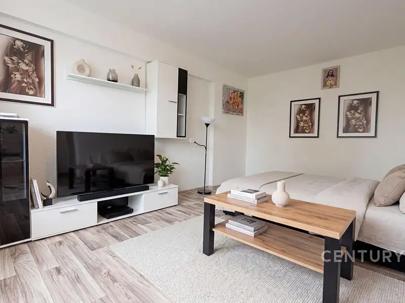 Prodej bytu 1+1 39 m², Mladá Boleslav – náhled fotky 2