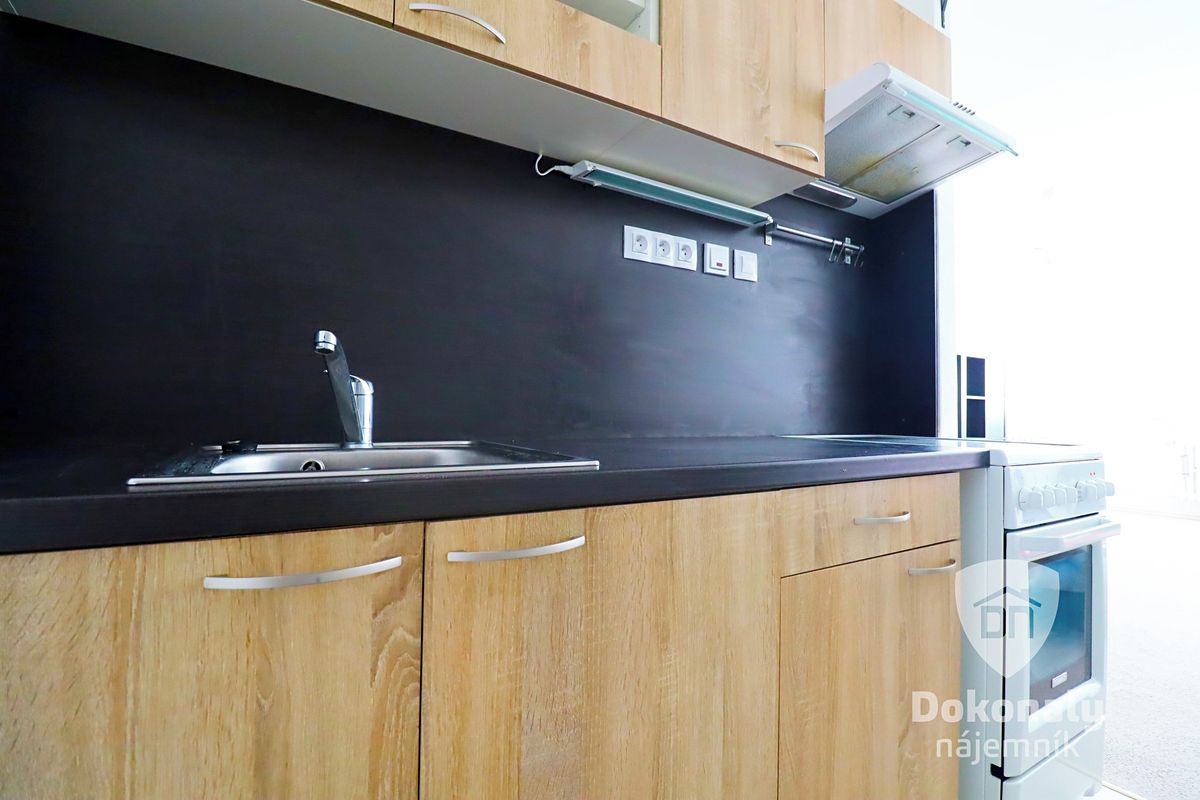 Pronájem bytu 1+kk 43 m² – fotografie 5