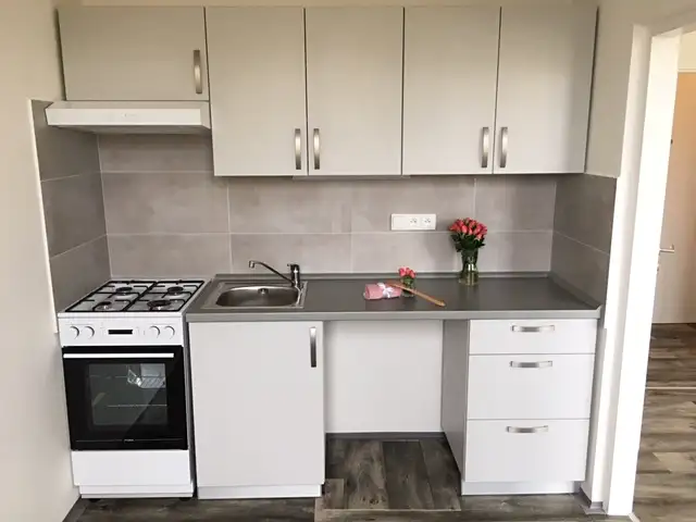 Prodej bytu 2+1 45 m², Ostrava – náhled fotky 1