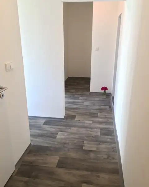 Prodej bytu 2+1 59 m², Ostrava – náhled fotky 3