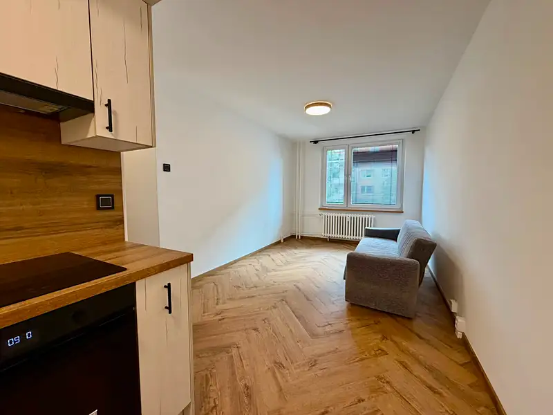 Pronájem bytu 2+kk 42 m², Lovosice – náhled fotky 3