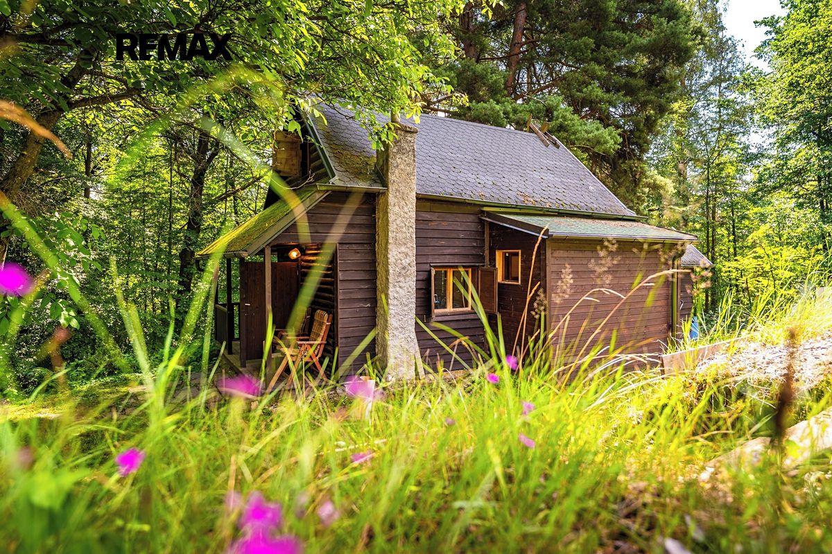 Prodej chaty 50 m², pozemek 5859 m² – fotografie 4