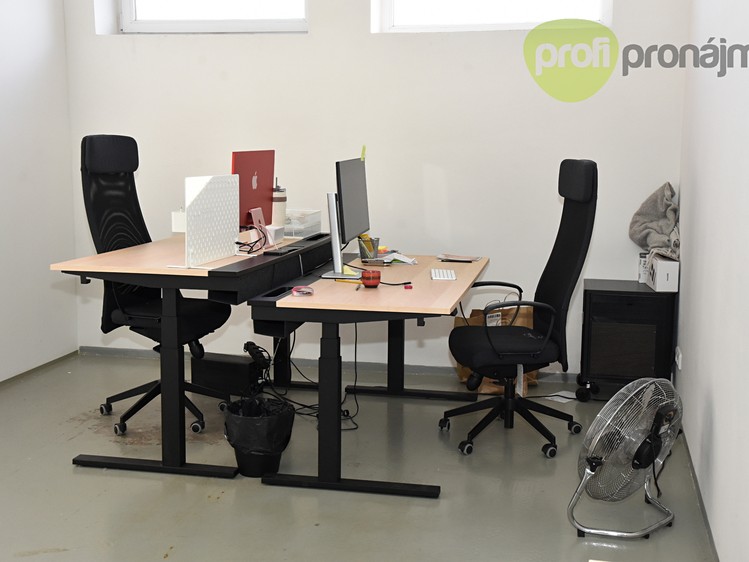 Pronájem komerčního prostoru, 701 m² (8 z 18)