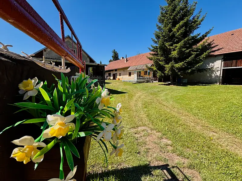 Prodej rodinného domu 95 m², pozemek 3330 m², Dolní Ředice – náhled fotky 2