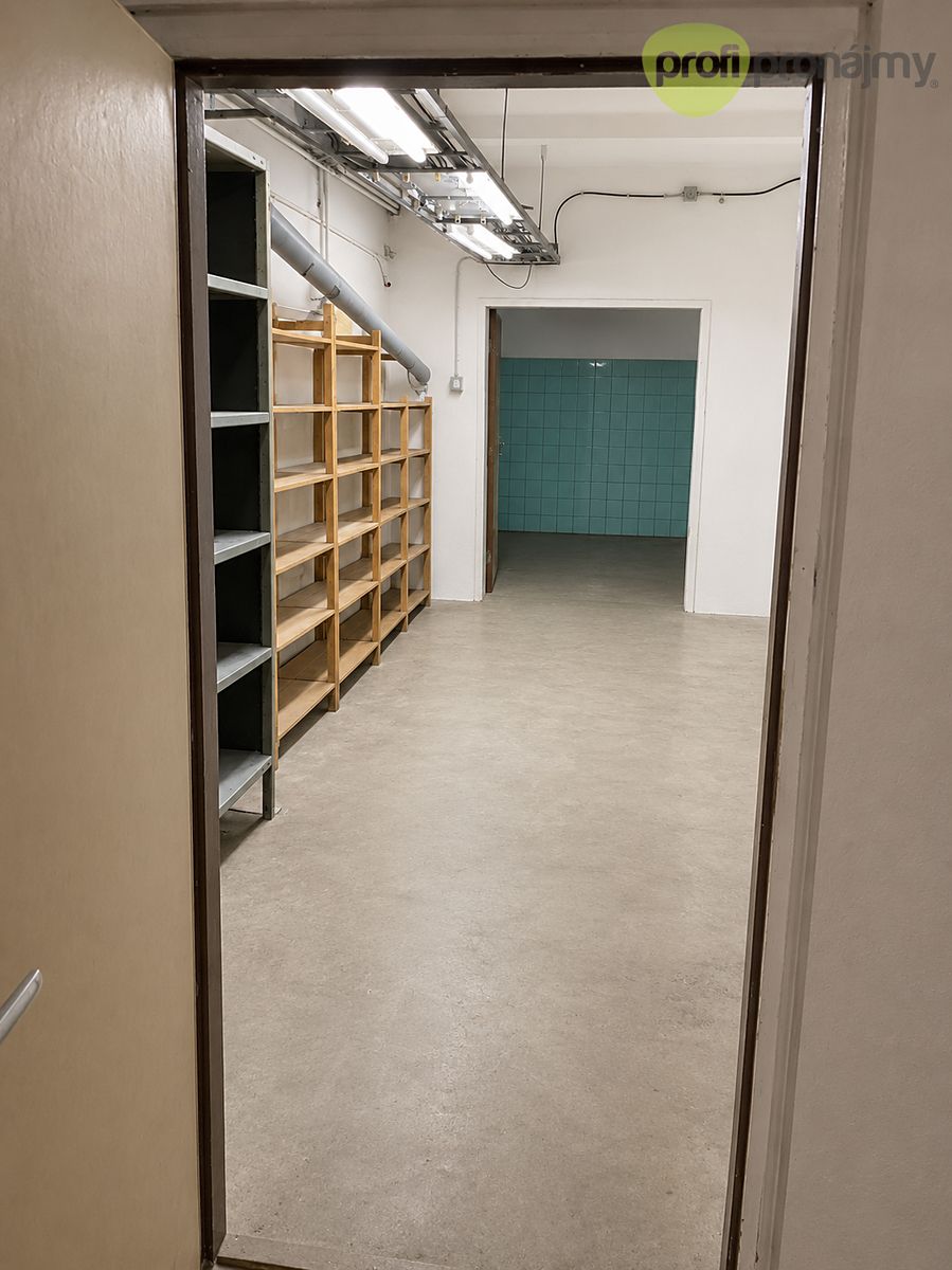 Pronájem skladového prostoru 74 m² – fotografie 3