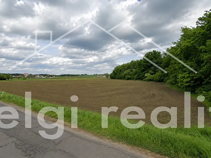 Prodej komerčního pozemku 14000 m², Hrušovany nad Jevišovkou – náhled fotky 3