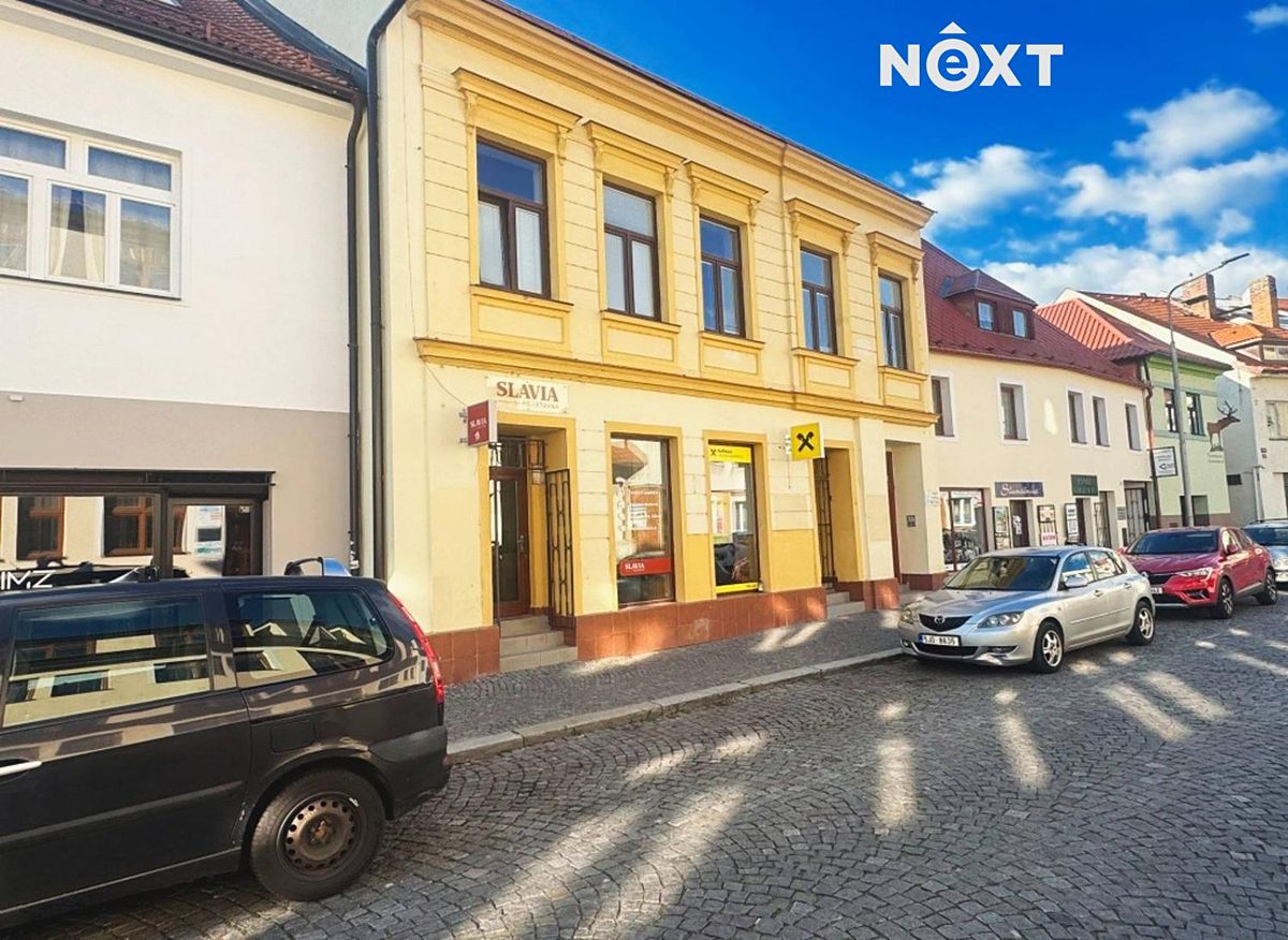 Pronájem bytu 1+kk 55 m²