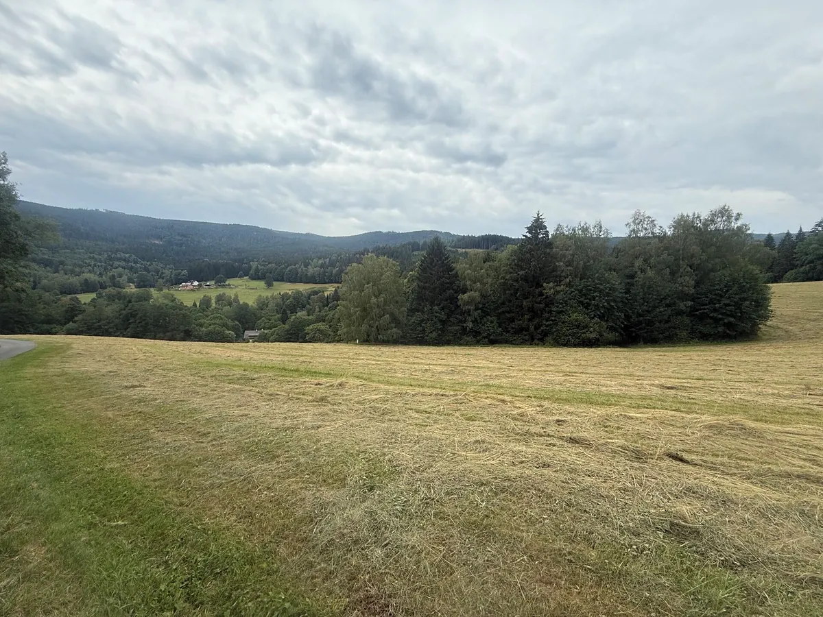 Fotka 9 z 19