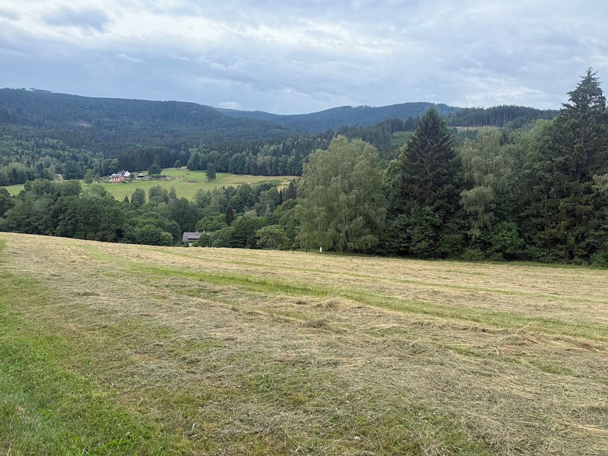 Prodej louky 84928 m² – fotografie 2