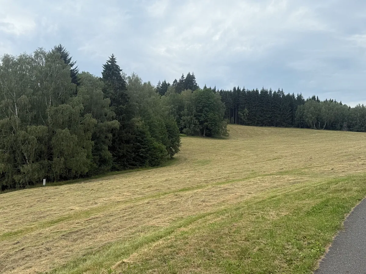 Fotka 6 z 19