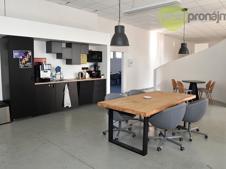 Pronájem komerčního prostoru, 701 m² (7 z 18)