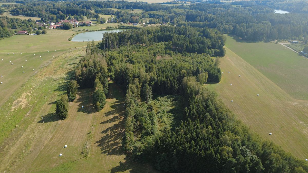 Prodej lesa 12933 m² – fotografie 3