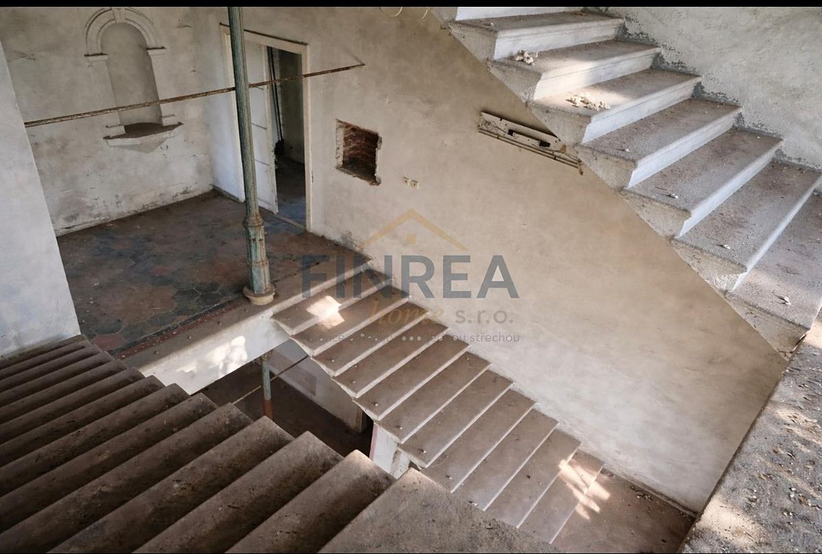 Prodej rodinného domu 1000 m², pozemek 4624 m² – fotografie 4
