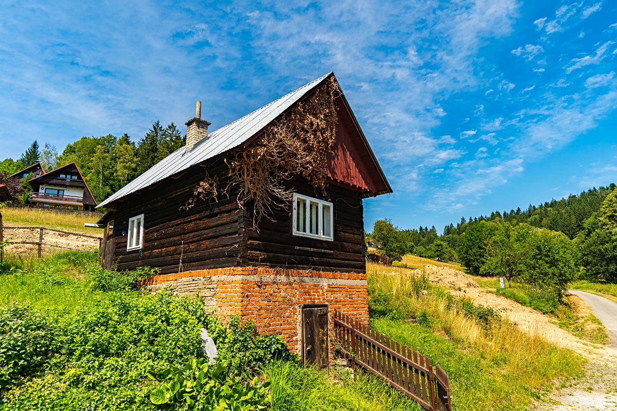 Prodej rodinného domu 275 m², pozemek 1671 m² – fotografie 5