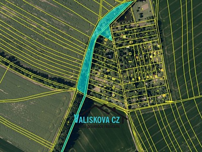 Prodej  lesa 7 694 m²