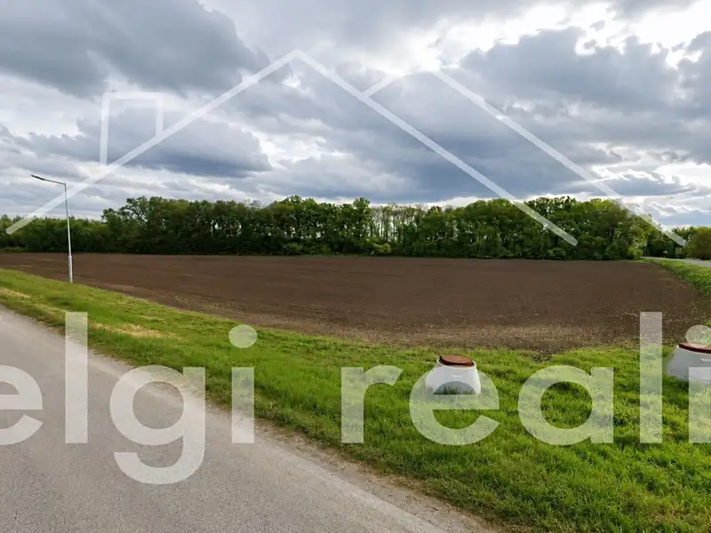 Prodej komerčního pozemku 14000 m², Hrušovany nad Jevišovkou – náhled fotky 2