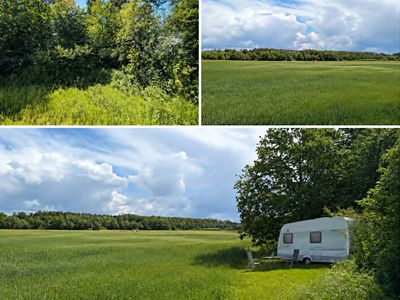 Prodej zahrady 449 m²