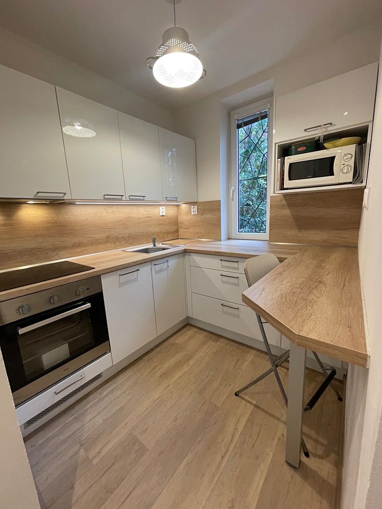 Pronájem bytu 1+1 40 m²