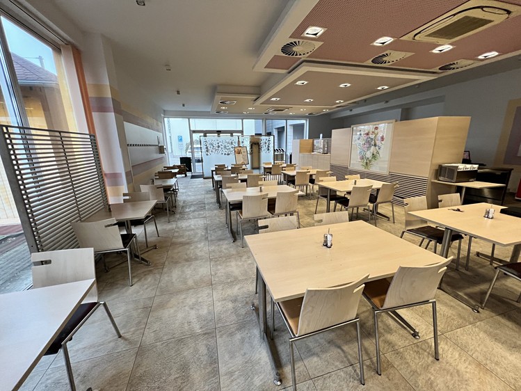 Prodej komerčního prostoru, 420 m² (16 z 24)
