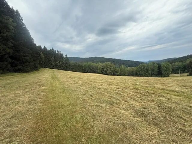 Fotka 14 z 19