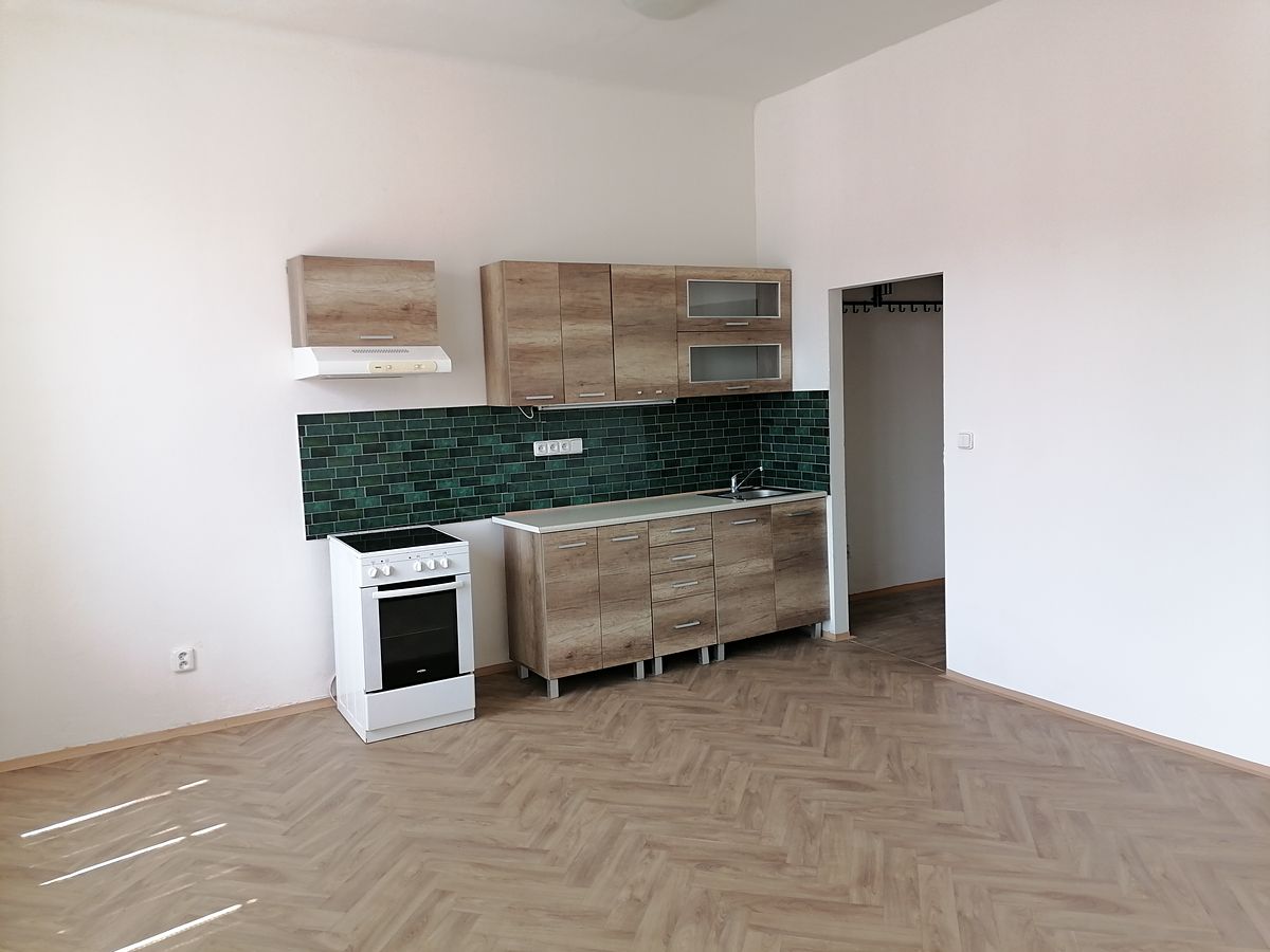 Pronájem bytu 1+1 66 m² – fotografie 2