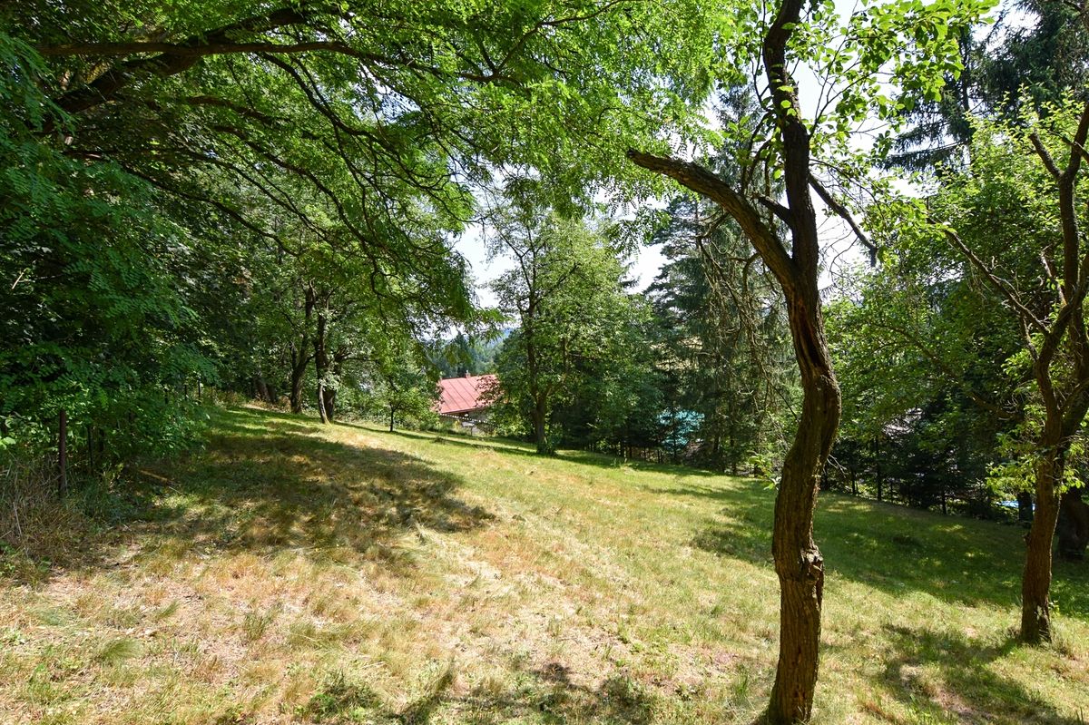 Pronájem zahrady 1015 m² – fotografie 2