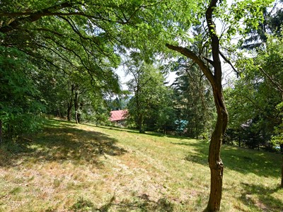 Grundstück zur Miete, 1.015 m² (2 von 12)